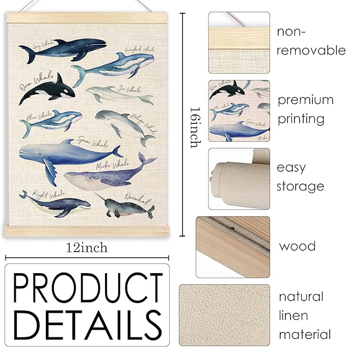 Ecezatik Species of Whales Wall Art with Wooden Poster Hanger, Whale Posters, Beach Room Decor, Ocean Room Decor, Whale Wall Art Decor for for Classroom Nursery Kids Room Playroom, 12x16 Inch