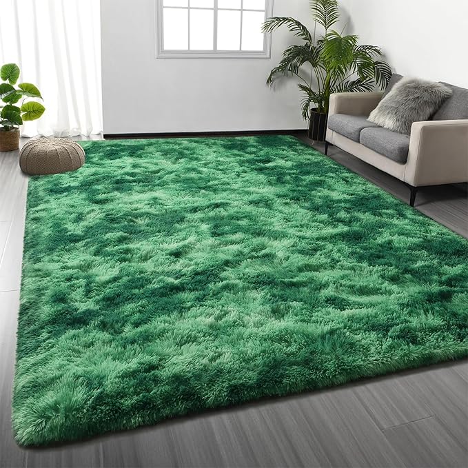 Large Shag Area Rugs 5 x 8, Plush Fuzzy Rugs for Living Room, Ultra Soft Fluffy Furry Rug for Bedroom, Indoor Carpet Nursery Rugs for Kids Room Home Decor, Tie-Dyed Emerald Green