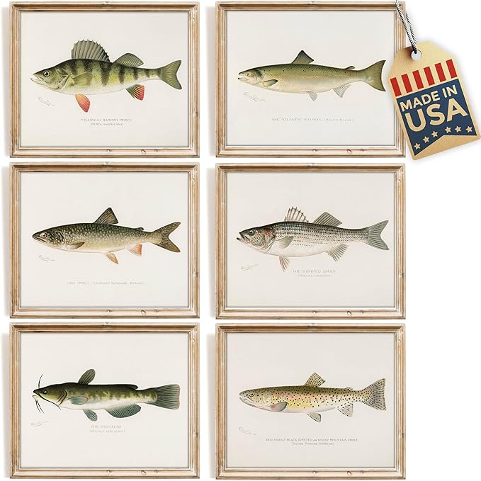 DREAM BIG PRINTABLES Fish Wall Art Prints (Set of 6) - Unframed - 11x14s | Vintage Fishing Decor - Midwest Fish Species - Great Gift for Fisherman