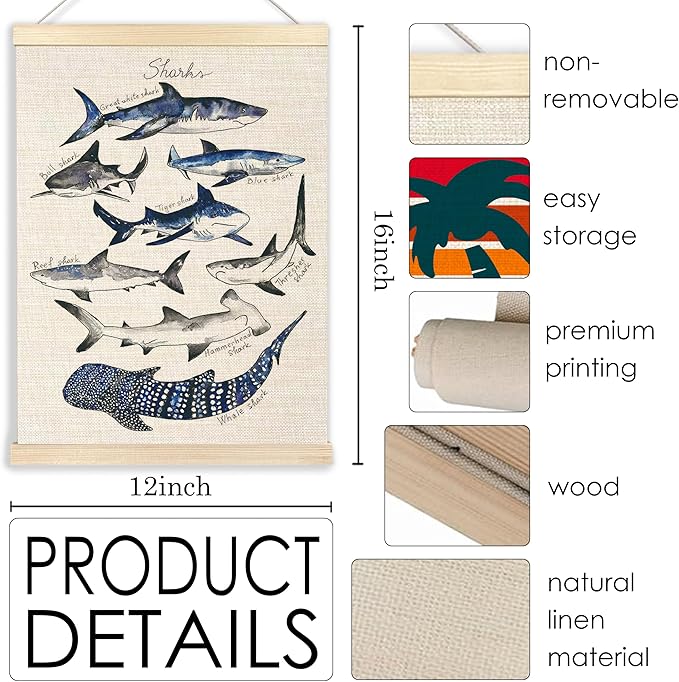 Ecezatik Shark Poster Hanger Frame, Wall Art for Beach Room, Coastal Home Decor, Hanging Decor for Classroom Nursery Boys Room, Gifts for Shark Lovers, 12x16