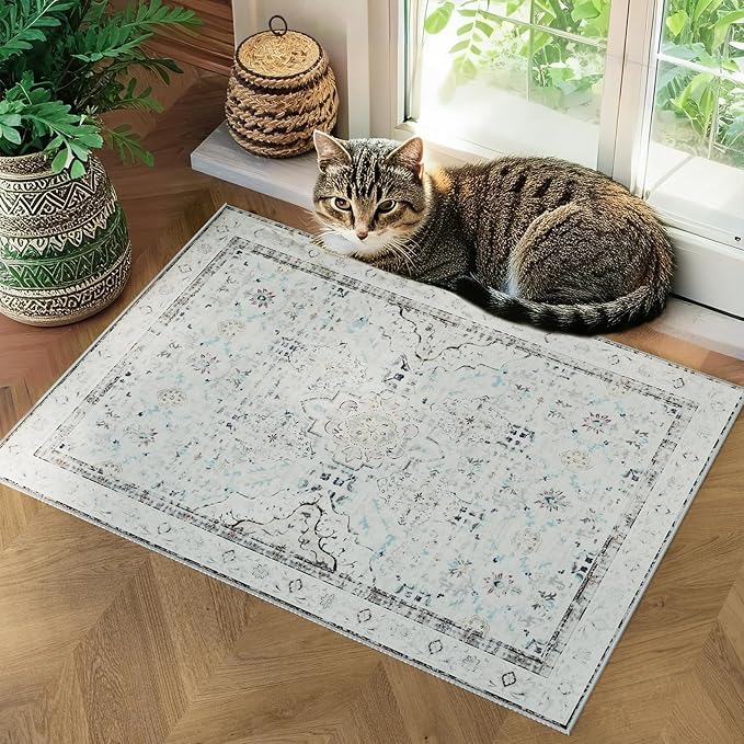 AMTOVO 2x3 Washable Entryway Area Rug Door Mat, Vintage Boho Distressed Print Pattern Non-Slip Carpet, Small Throw Rug for Indoor Entrance Kitchen Bedroom Bathroom Laundry Floor, Light Grey