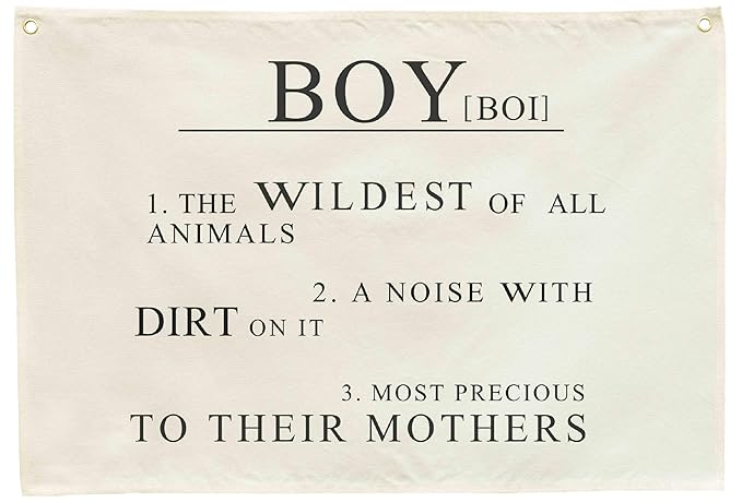 Boy the Wildest of All Animals-Rectangular Banner Flag Poster Wall Decor for Baby Boy Kids-Nursery Above Crib Bedroom Playroom Door Wall Decorations-Boy Present-Birthday Baby,Shower Christmas Gift