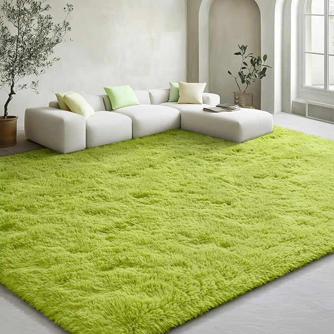 EVOIONOS 5x8 Washable Large Area Rug for Living Room, Fluffy Shag Rug for Bedroom, Ultra Soft Plush Non Slip Carpet for Indoor Floor Bedside Nursery Kids Girls Dorm Home Decor Aesthetic, Grass Green