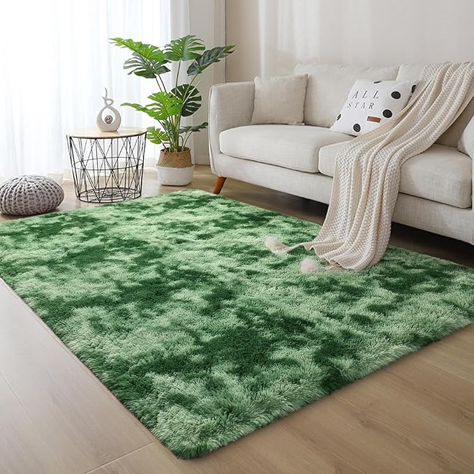 DweIke Fluffy Sage Green Shag Rugs for Bedroom Living Room, 4x6 Feet Soft Plush Tie-Dyed Mint Green Girls Boys Kids Rug, Non-Slip and Machine Washable Carpet for Dorm Nursery Classroom Decor