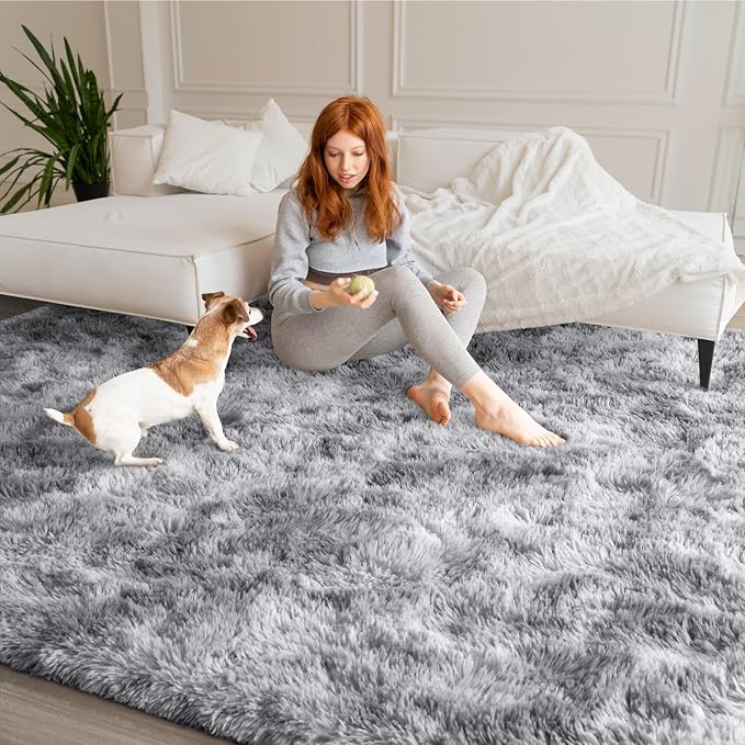 EVOIONOS Area Rug for Living Room Bedroom, Washable 5x8 Fluffy Shag Large Rug, Soft Plush Non Slip Carpet for Indoor Floor Bedside Nursery Kids Room, Dorm, Home Decor Aesthetic, Tie-Dyed Light Grey
