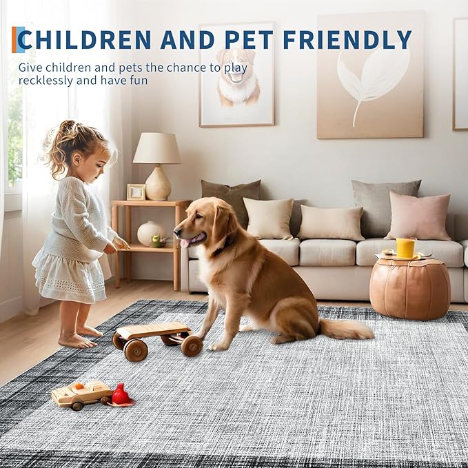 COZYLOOM Washable Area Rug 5x7 Stain Resistant Non-Slip Carpet Vintage Abstract Rug Plush Carpet for Living Room, Bedroom, Family Room, Nursery, Playroom（Grey）