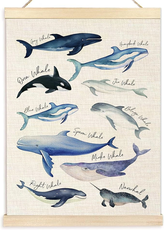 Ecezatik Species of Whales Wall Art with Wooden Poster Hanger, Whale Posters, Beach Room Decor, Ocean Room Decor, Whale Wall Art Decor for for Classroom Nursery Kids Room Playroom, 12x16 Inch