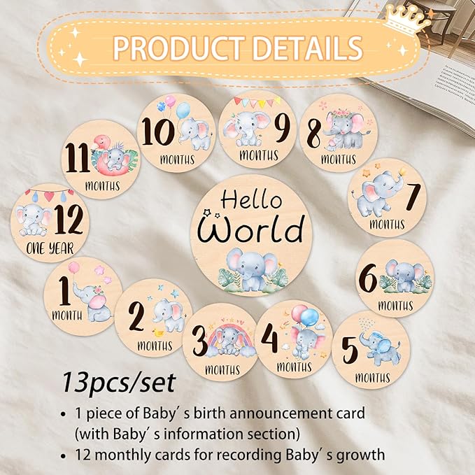 Baby Monthly Milestone Cards Signs - 13 Double Sided Little Elephant Milestone Cards, "Hello" Wooden Circles Discs for Photo Props Elephant Newborn Announcement Marker, Baby Shower Newborn Sign Gift