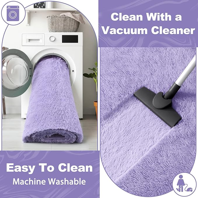 EVOIONOS Ultra Soft Area Rug Bedroom, 4x6 Machine Washable Fluffy Shag Rug Living Room, Plush Non Slip Carpet Indoor Floor Bedside Nursery Kids Girls Room Dorm, Home Decor Aesthetic, Lavender Purple