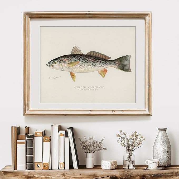 DREAM BIG PRINTABLES Vintage Fishing Decor (Set of 6) - Unframed - 11x14s | Fish Wall Art Prints | Great Gift for Fishermen