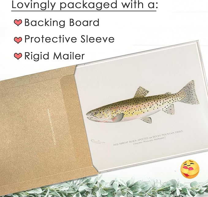 DREAM BIG PRINTABLES Fish Wall Art Prints (Set of 6) - Unframed - 8x10s | Vintage Fishing Decor - Midwest Fish Species - Great Gift for Fisherman