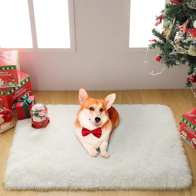 Merelax Soft Modern Indoor Shaggy Area Rug for Bedroom Livingroom Dorm Kids Room Home Decorative, Non-Slip Plush Fluffy Furry Fur Rugs Comfy Nursery Accent Floor Carpet 2x3 Feet, Ivory
