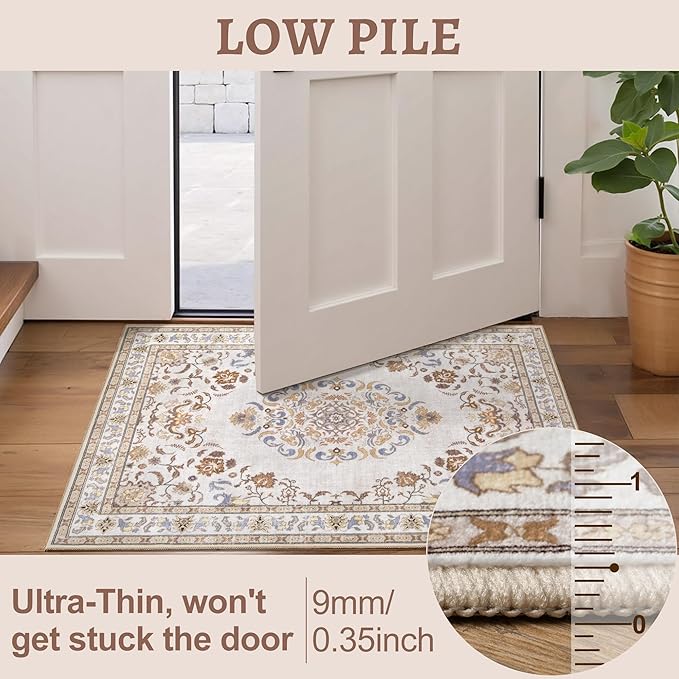Tangsoo 2x3 Small Rug for Entryway, Washable Area Entry Rugs Non Slip, Persian Neutral Low Pile Soft Area Rugs, Indoor Front Door Boho Throw Rug for Entrance Kitchen Bedroom Bathroom Home Decor