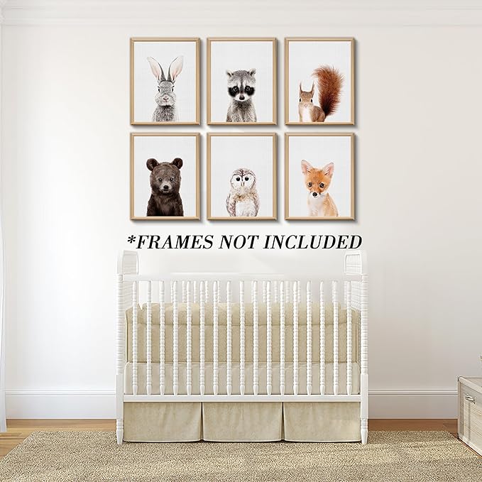Jungle Safari Decor - Cute Animal Wall Art, Baby Bedroom Decor (8"x10", UNFRAMED) (Forest)