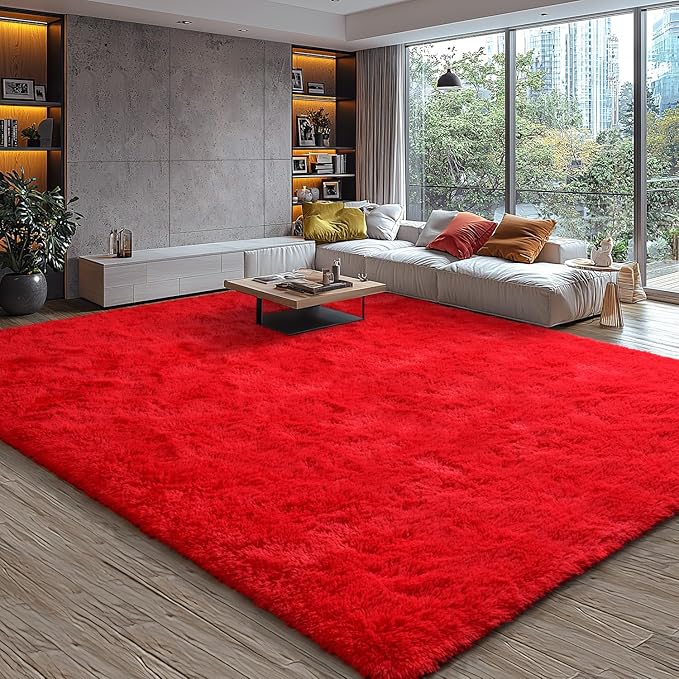 EVOIONOS 5x7 Washable Large Area Rug for Living Room, Fluffy Shag Rug for Bedroom, Ultra Soft Plush Non Slip Carpet for Indoor Floor Bedside Nursery Kids Girls Room Dorm, Home Decor Aesthetic, Red