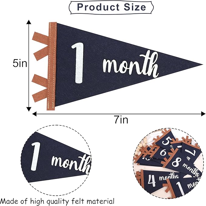 12 PCS Baby Monthly Milestone Felt Pennant - Navy Blue 1 to 12 Months Photo Props, Newborn Growth Record Triangle Banner, First Year Signs, Boys Monthly Photo Props