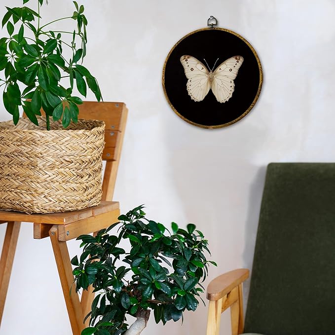 Hiuwevt Vintage White Butterfly Round Wall Art Decor, Retro Antique Moth Hanging Canvas Prints Artwork Framed, Neutral Moody Insect Circular Wall Decor for Home Bedroom Living Room, 10x10 Inch