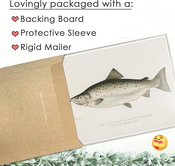 DREAM BIG PRINTABLES Vintage Fishing Decor (Set of 6) - Unframed - 11x14s | Fish Wall Art Prints | Great Gift for Fishermen