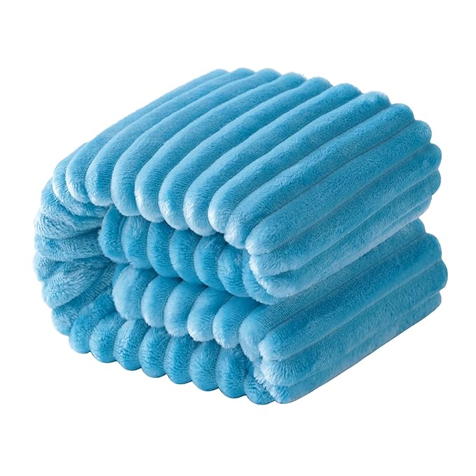 NTBAY Flannel Fuzzy Toddler Blanket, Fluffy Warm and Lightweight Reversible Stripes Design Baby Plush Blanket, 30x40 Inches, Blue