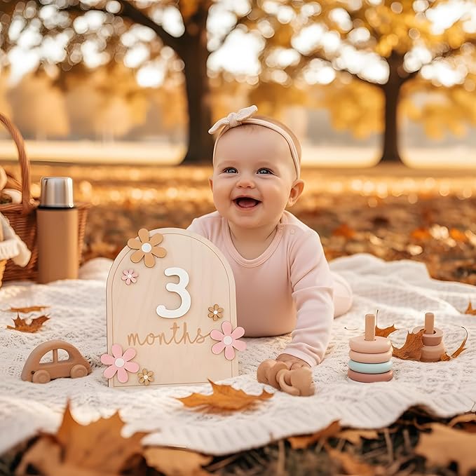 Baby Monthly Milestone Sign,1-12 Monthly Milestone Signs, Baby Girl Nursery Decoration, Newborn Photography Props Double-Sided (M01)