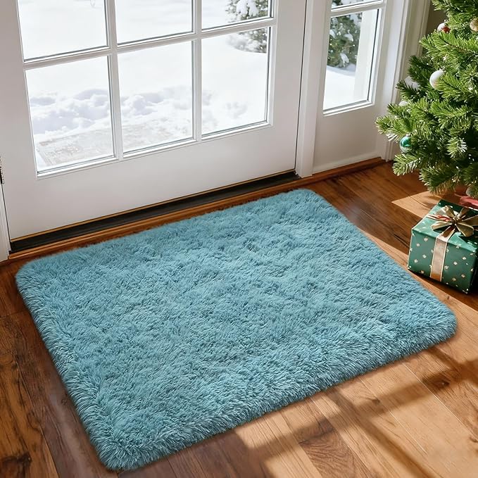 Merelax Modern Soft Fluffy Small Shaggy Rug for Bedroom Livingroom Dorm Kids Room Indoor Home Decorative, Non-Slip Plush Furry Fur Area Rugs Comfy Nursery Accent Floor Carpet 2x3 Feet, Turquoise Green