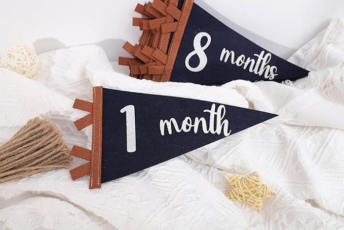 12 PCS Baby Monthly Milestone Felt Pennant - Navy Blue 1 to 12 Months Photo Props, Newborn Growth Record Triangle Banner, First Year Signs, Boys Monthly Photo Props