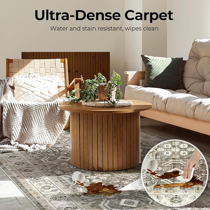WITSHOCK Living Room Area Rugs 4x6: Washable Rug Boho Soft Non-Slip Low Pile Stain Resistant Foldable Carpet for Bedroom Playroom Dining Room Office Kitchen Farmhouse Home Decor Rug-Brown/Beige