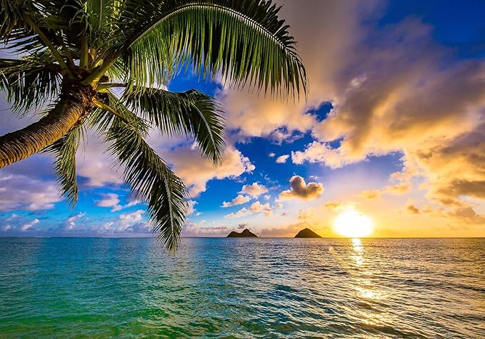 Sunset Beach Wallpaper Hawaiian Seascape Palm Tree Wall Mural for Bedroom Living Room (Not Self-Adhesive)