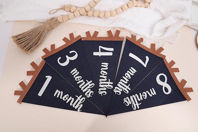 12 PCS Baby Monthly Milestone Felt Pennant - Navy Blue 1 to 12 Months Photo Props, Newborn Growth Record Triangle Banner, First Year Signs, Boys Monthly Photo Props