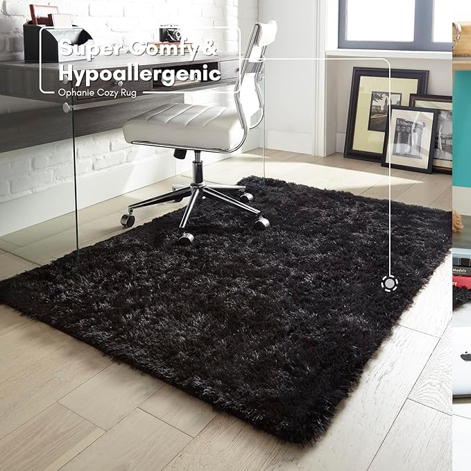 Ophanie 4x6 Charcoal Rugs for Bedroom, Fluffy Shaggy Soft Area Rug, Non-Slip Indoor Floor Carpet for Living Room, Kids Boys Teen Dorm Home Decor Aesthetic, Nursery