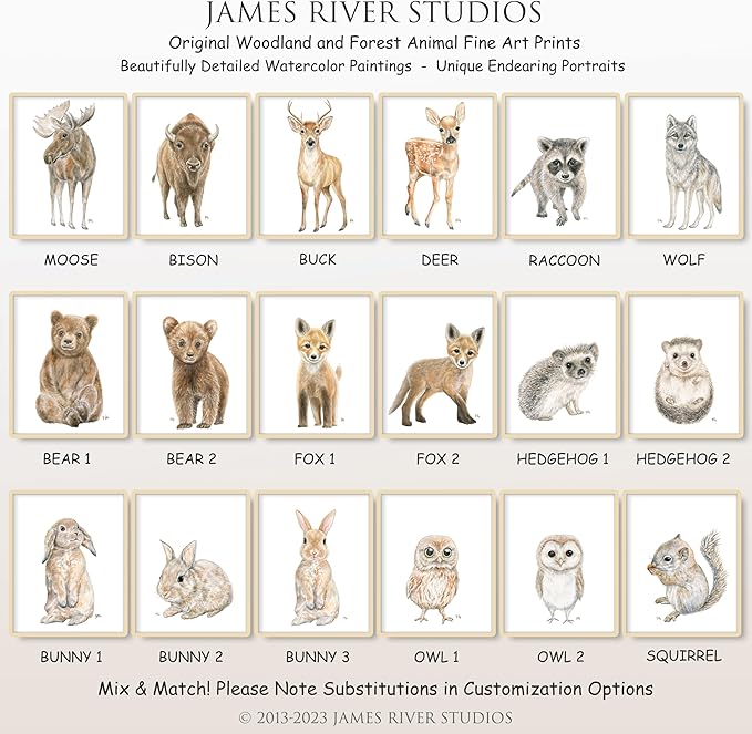 James River Studios Woodland Animal Nursery Prints Unframed Set of 4, Pick Your Baby Animals and Print Size, Original Watercolor Art Signed By Artist