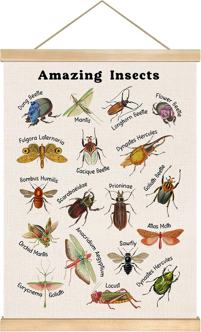 Amazing Insects Linen Canvas Wall Art Poster 18.5x14 Inch, Educational Bug and Beetle Learning Chart for Kids, Nature Science Classroom Decor, Vintage Biology Illustration for Playroom or Nursery
