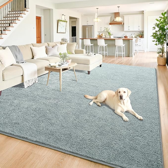 Chicrug 7x10 Minimalist Washable Area Rugs for Bedroom Living Room Classroom, Modern Soft Memory Foam Rug for Kids Nursery, Low Plie Indoor Carpet for Dorm Dining Office Bedside Room Decor, Grey