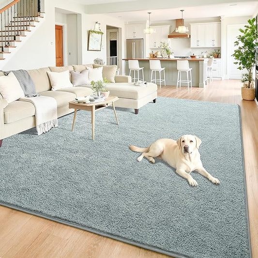 Chicrug 7x10 Minimalist Washable Area Rugs for Bedroom Living Room Classroom, Modern Soft Memory Foam Rug for Kids Nursery, Low Plie Indoor Carpet for Dorm Dining Office Bedside Room Decor, Grey