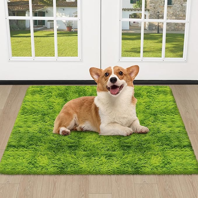 Soft Fluffy Tie Dyed Grass Green Shag Rug 2x3 Small Green Area Rug Carpet for Bedroom Door Entryway Indoor Inside Front Entrance Green Mat Non Slip, Home Decor Aesthetic, Nursery