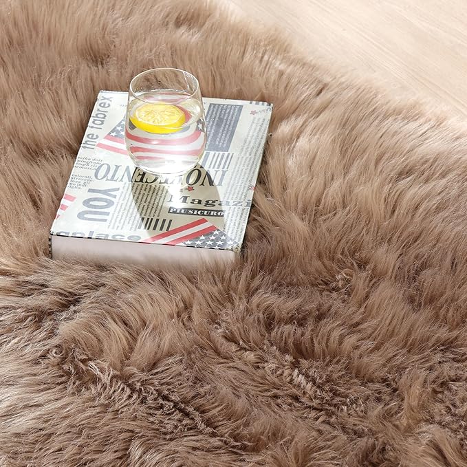 Beige Furry Washable Faux Sheepskin Fur Rug for Living Room Bedroom Fluffy Area Rug 4x6 Rectangle Rug Nursery Decor