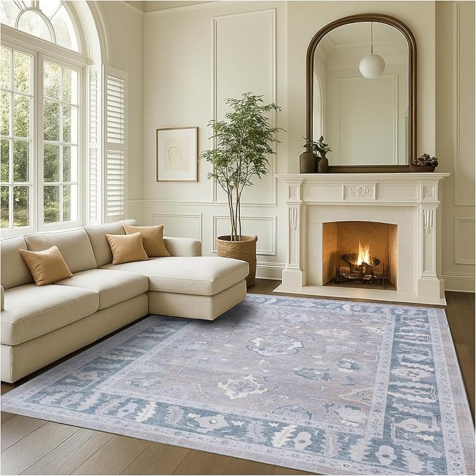 Fame Rugs Gray Modern Oushak Rug 6x9, Vintage Turkish Colorful Oriental Antique Inspired Washable Large Area Rugs, Luxury Living Room Bedroom (389GBB, 6' x 9')