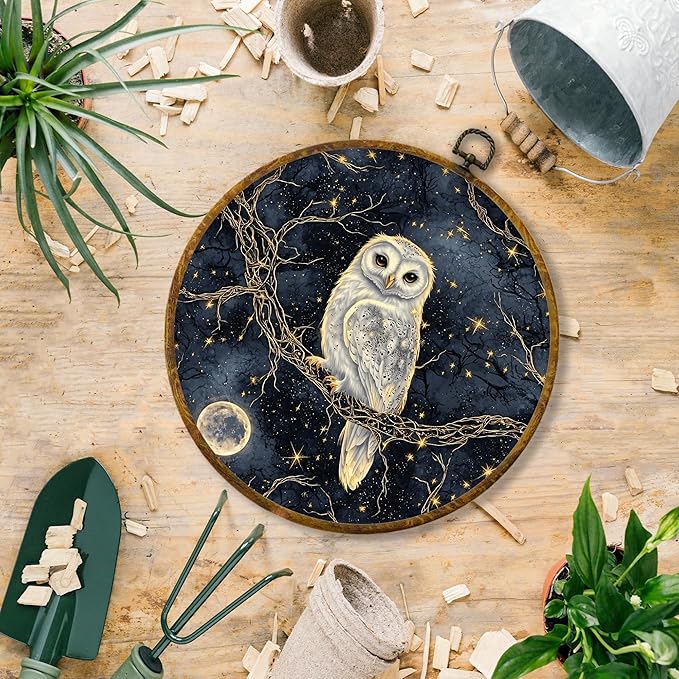 Hiuwevt Gothic Moonlight Owl Round Wall Art Decor, Enchanted Forest Owl Framed Canvas Prints, Dark Academia Star Sky Animal Round Wall Hanging Decor for Office Home Decorations, 10x10 Inches
