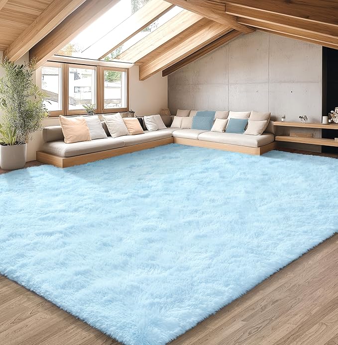 EVOIONOS 6x9 Washable Large Area Rug for Living Room, Fluffy Shag Rug for Bedroom, Ultra Soft Plush Non Slip Carpet Indoor Floor Bedside Nursery Kids Girls Room Dorm, Home Decor Aesthetic, Light Blue