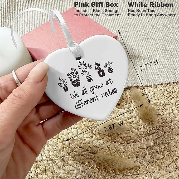 Heart Shaped Christmas Ornament-Birthday Inspirational Quotes Gift-Funny Affirmations Positive Motivational Encouragement Present We All Grow at Different Rates Keepsake