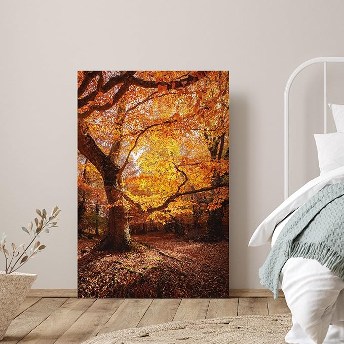 SIGNWIN Canvas Print Wall Art Autumn Red Leaf Oak Tree Forest Nature Wilderness Photography Modern Art Farmhouse/Country Landscape Colorful Multicolor Ultra for Living Room, Bedroom, Office - 16x24