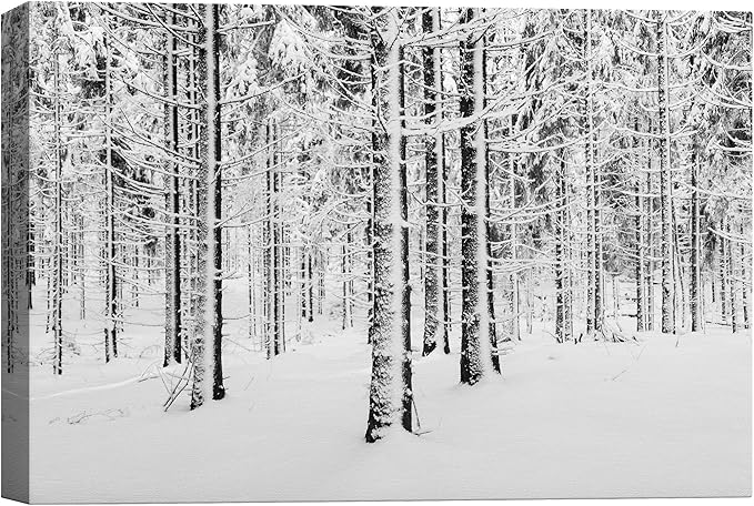 SIGNWIN Canvas Wall Art Winter Snow Covered Birch Trees on The Hillside Nature Forest Modern Art Traditional Scenic Dramatic Black and White for Living Room, Bedroom, Office - 24x36 inches