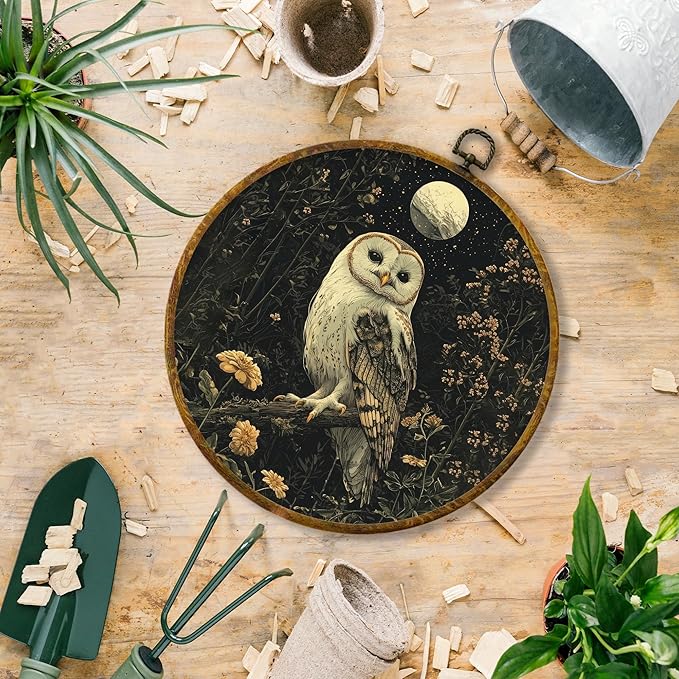 Hiuwevt Witchy Moonlight Owl Round Wall Art Decor, Vintage Dark Floral Framed Canvas Prints, Whimsical Gothic Owl Round Wall Hanging Decor for Office Home Decorations, 10x10 Inches