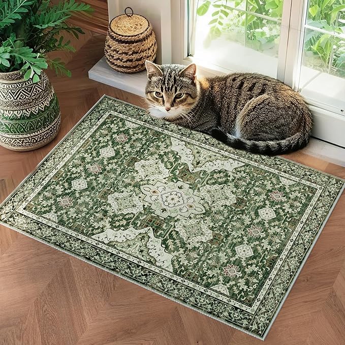 AMTOVO 2x3 Washable Entryway Area Rug Door Mat, Vintage Boho Distressed Print Pattern Non-Slip Carpet, Small Throw Rug for Indoor Entrance Kitchen Bedroom Bathroom Laundry Floor, Dark Green