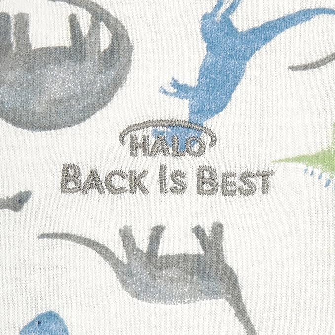 HALO SleepSack, 100% Cotton Wearable Blanket, Swaddle Transition Sleeping Bag, TOG 0.5, Watercolor Dinos, Small, 0-6 Months