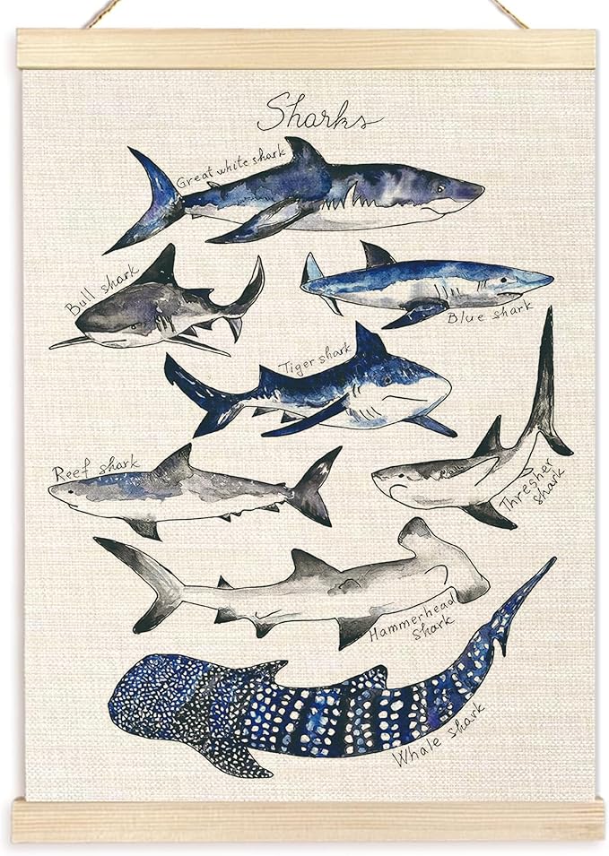 Ecezatik Shark Poster Hanger Frame, Wall Art for Beach Room, Coastal Home Decor, Hanging Decor for Classroom Nursery Boys Room, Gifts for Shark Lovers, 12x16