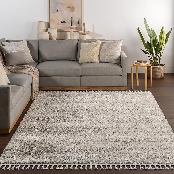 nuLOOM Brooke Shag Tasseled Area Rug - 7x9 Shag Area Rug Casual Ivory Rugs for Living Room Bedroom Dining Room Nursery