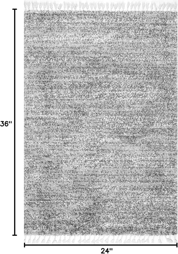 nuLOOM Brooke Shag Tasseled Area Rug - 2x3 Accent Shag Rug Casual Grey/Ivory Rugs for Living Room Bedroom Dining Room Nursery Entryway (Pack of 3)