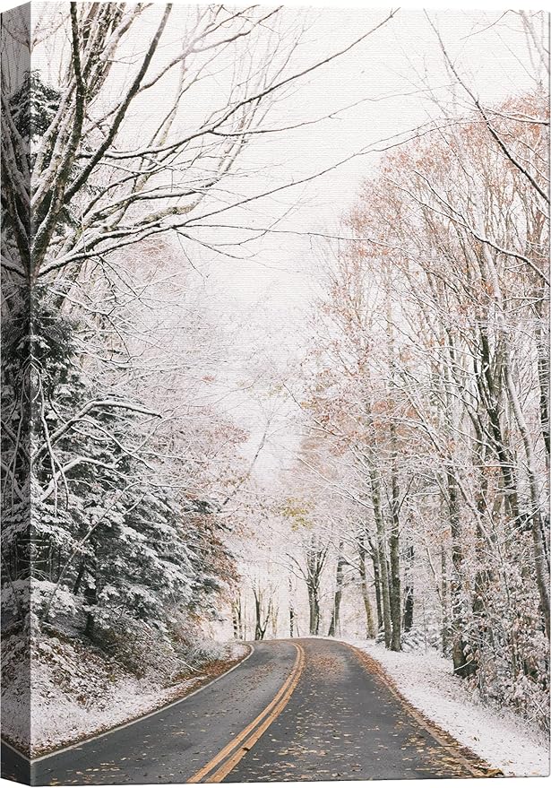 SIGNWIN Canvas Wall Art Woodland Nursery Decor Winter Trees Cool Dramatic Forest Multicolor Nature Photography Rustic - 16x24 inches