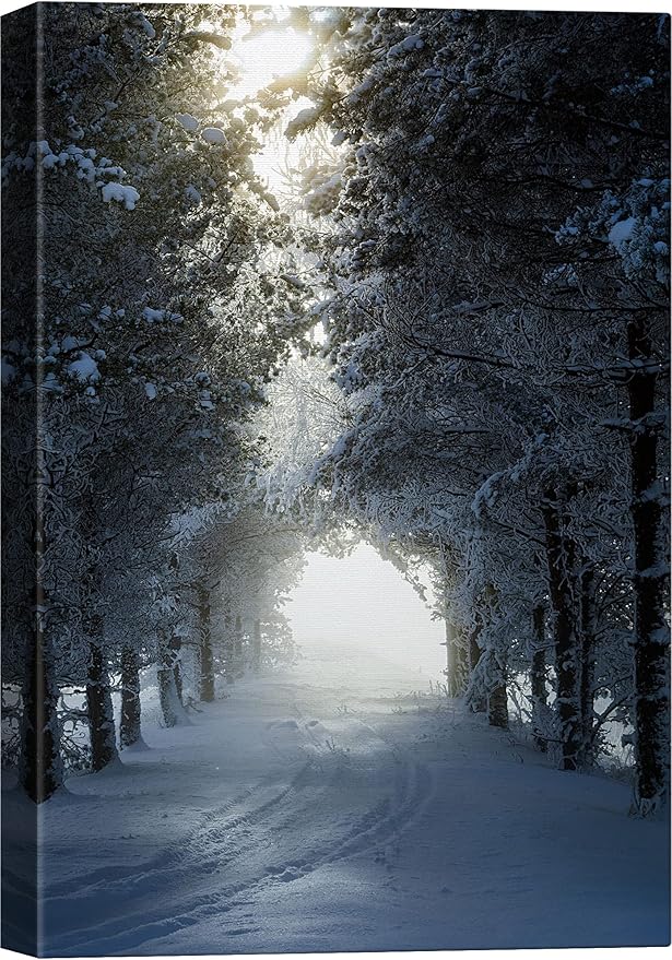 SIGNWIN Canvas Wall Art Woodland Nursery Decor Foggy Winter Trees Path Nature Forest Photography Realism Rustic Scenic Dramatic Multicolor Cool for Living Room - 24"x36" inches